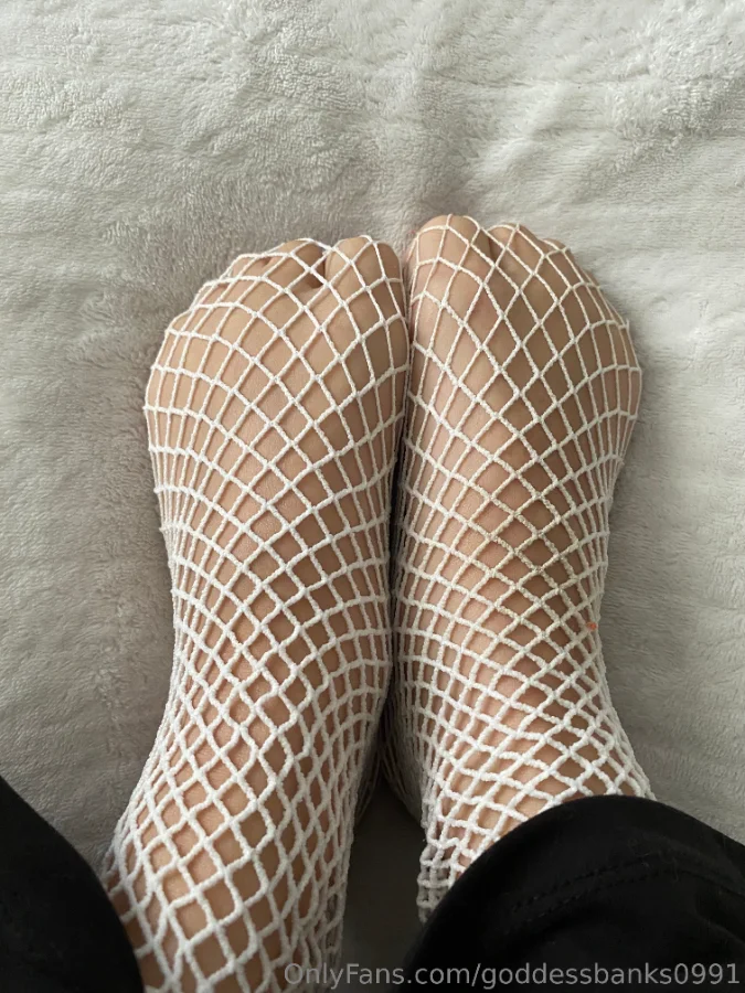 1107745254_Fish nets _ 😊_06_3024x4032_51f3ceeb59566818caa47fe478023d9e.webp