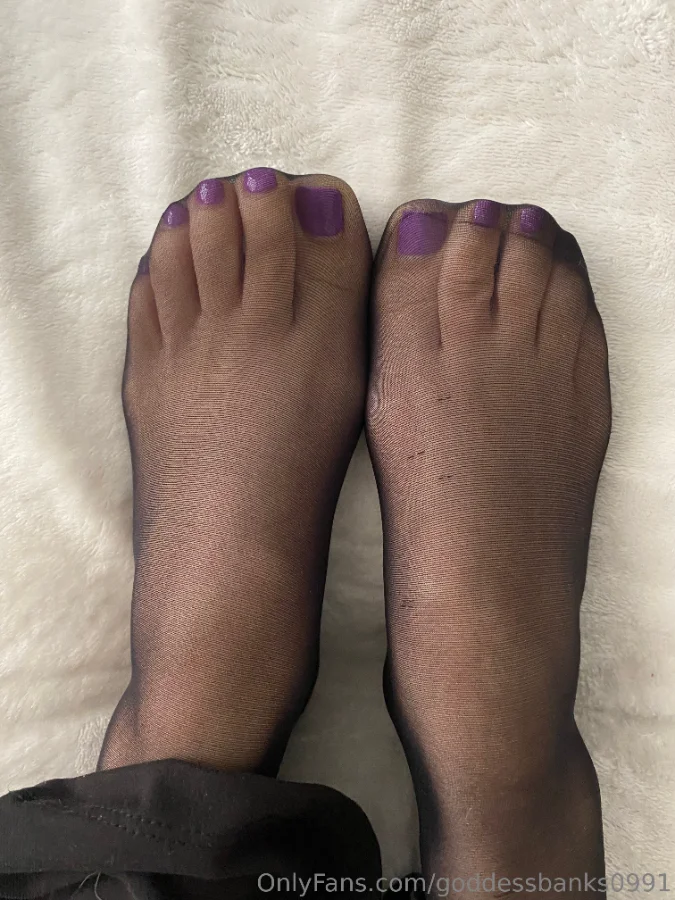 1108109206_Nylons __01_3024x4032_f758e2f5dc415ad4de884622e1d6a3ba.webp