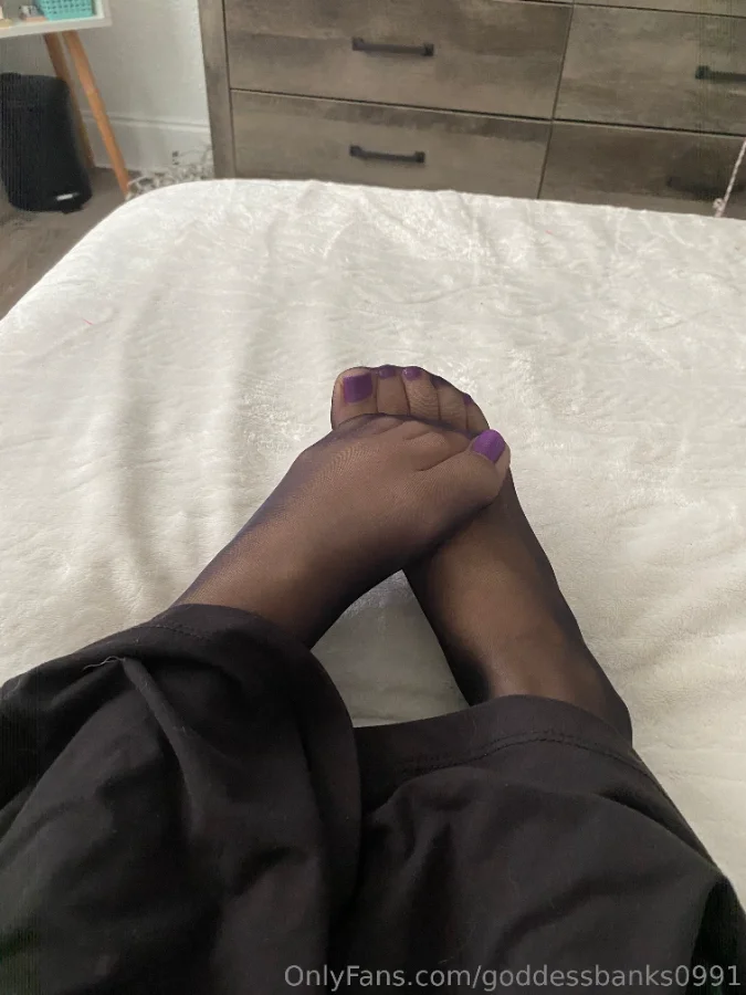 1108109206_Nylons __09_3024x4032_ee7a991b7e35f04b19ffe5159c4b740f.webp