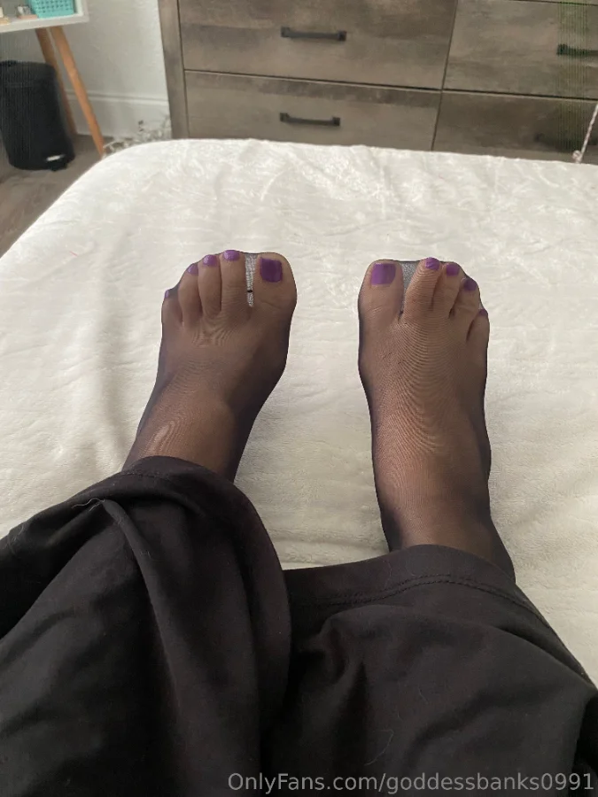 1108109206_Nylons __10_3024x4032_a39c55a9fce0adc1739b82368455c405.webp