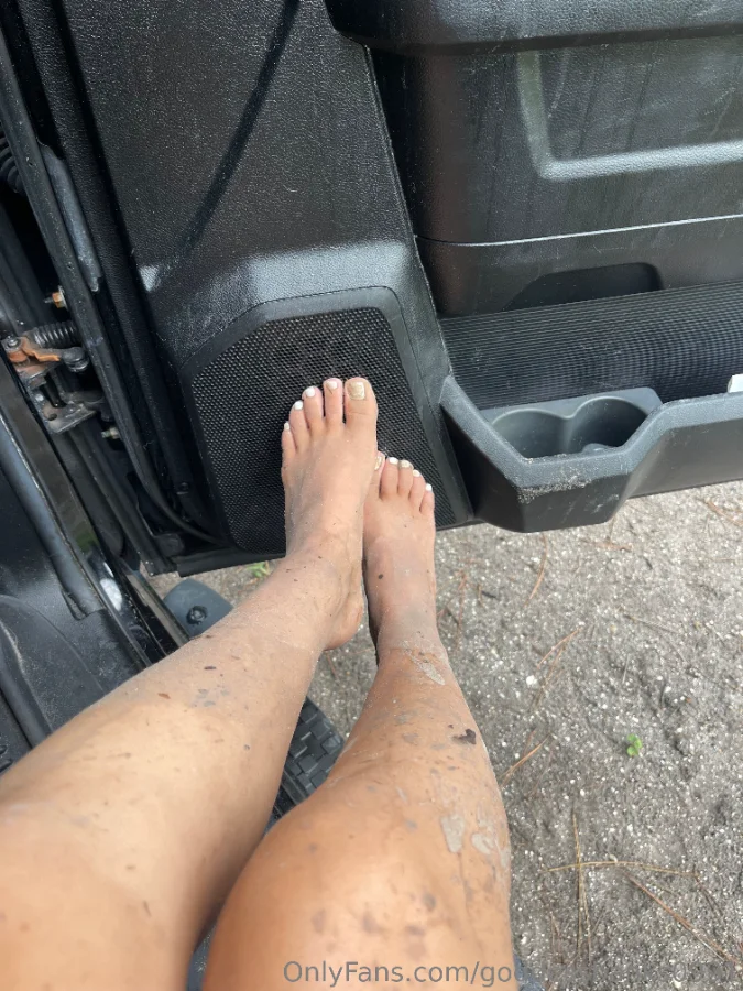 1165572710_Muddy day today_02_3024x4032_9ff9259bf647e463603d52310f0a6430.webp