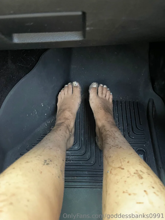 1165572710_Muddy day today_03_3024x4032_d05969e7f0f1dd7c13e1d67931ba27aa.webp