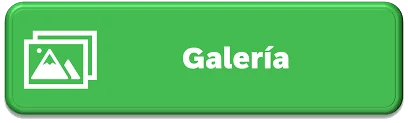 boton de galeria.webp