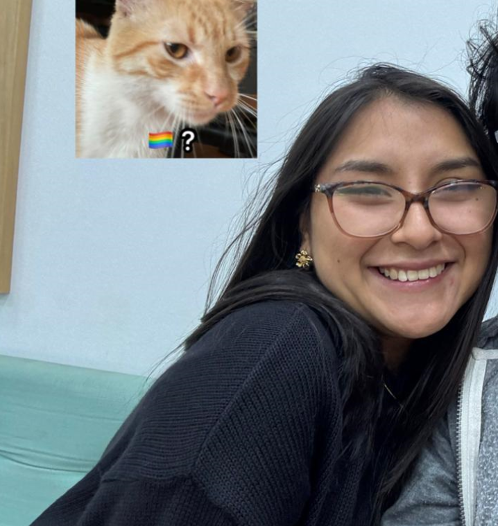 Captura de pantalla 2024-11-27 203117.png