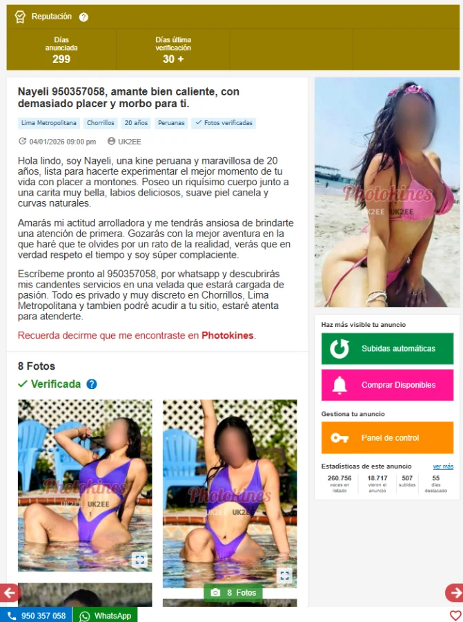 Captura de pantalla 2026-01-04 232748.webp