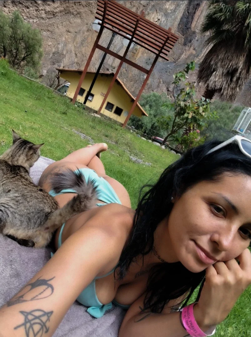 Captura de pantalla 2026-02-22 212841.webp