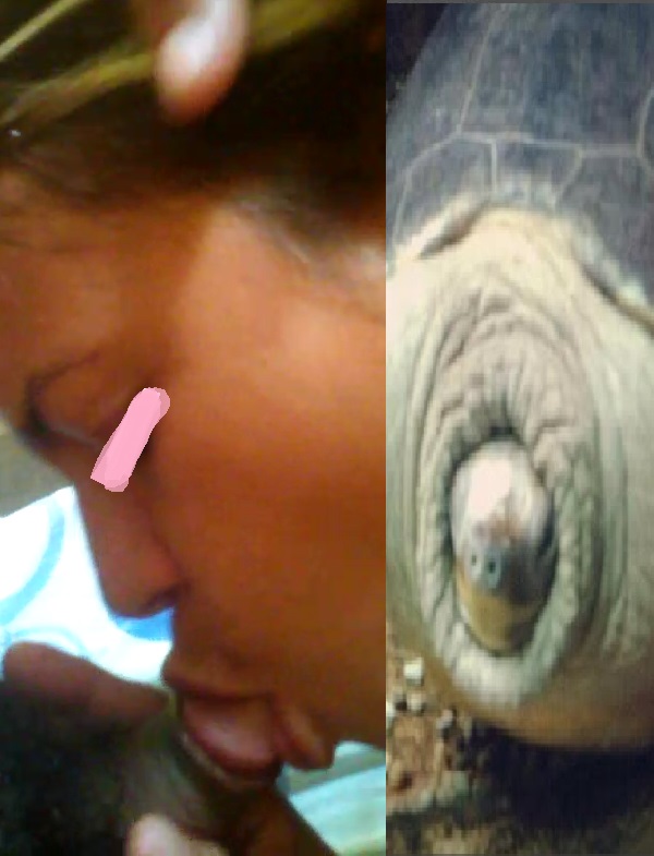 cl3wehewd9zse5rbeusinibkymrvpo1i1dwrhzaia14p9qpbgwy5837ulvlvr1g - copia.jpg