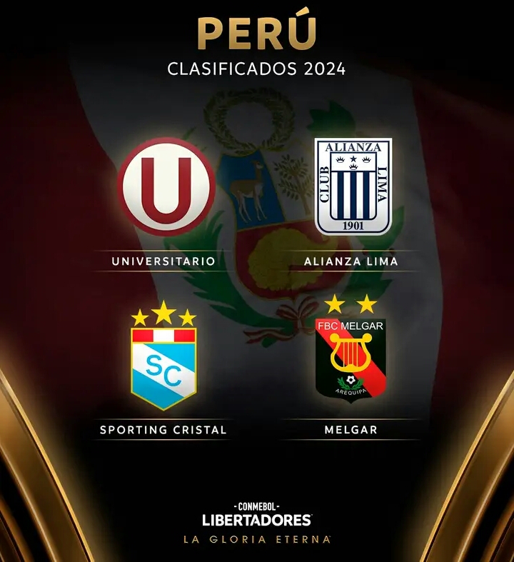 Clasificados Libertadores 24 2.
