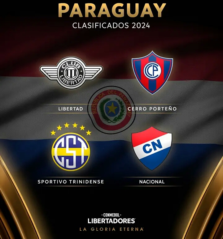 Clasificados Libertadores 24 4.