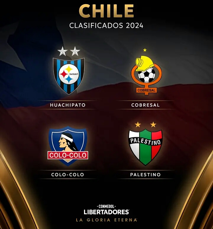 Clasificados Libertadores 24 5.