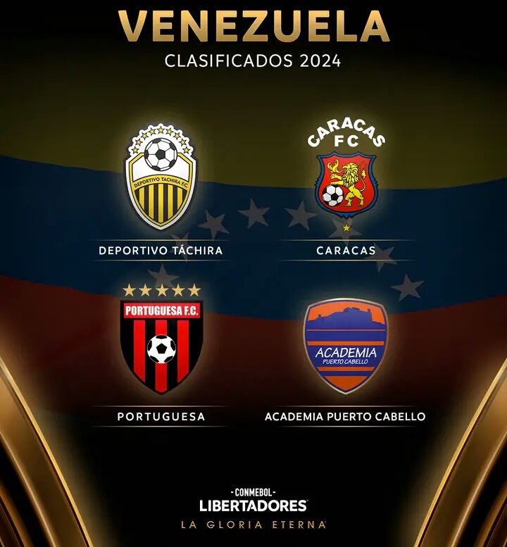 Clasificados Libertadores 24 6.