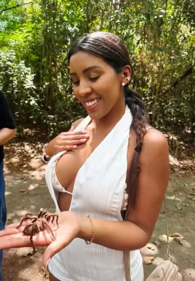 Imagen de WhatsApp 2025-12-06 a las 20.56.41_9c7b5648.webp