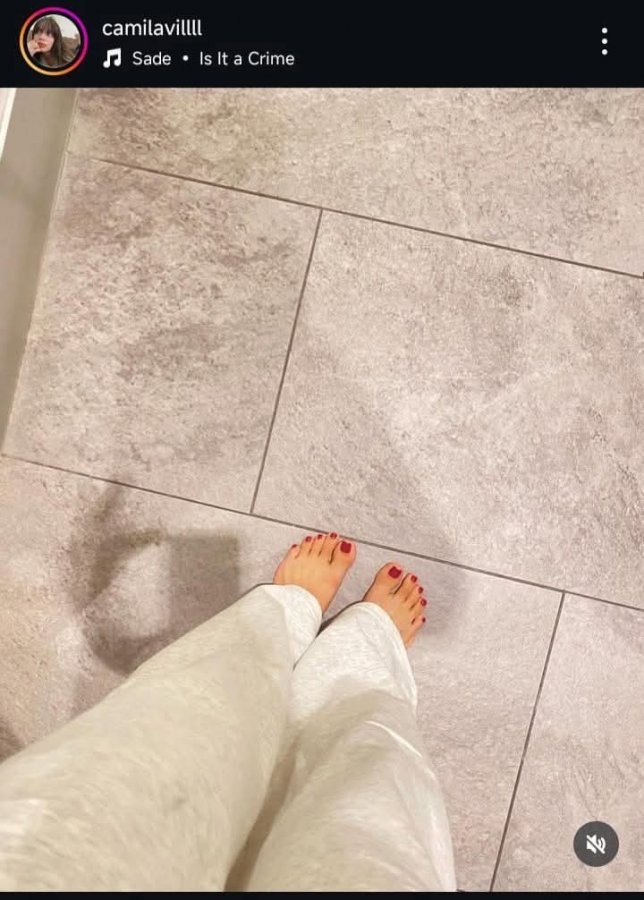 IMG_1740020768421 (10).jpg