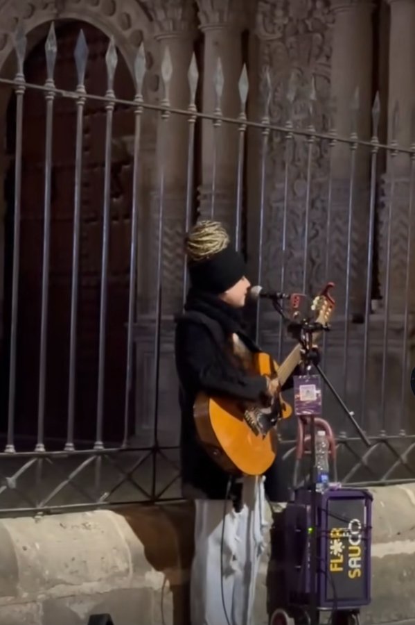 Tiktok flor.de.sauco , IG flor de sauco,argentina .jpg