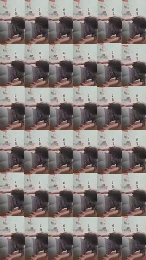 Untitled-Made with FlexClip (2).webp