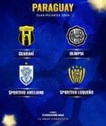 Sudamericana 24 equipos 3.jpg