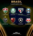 Clasificados Libertadores 24.jpg