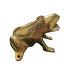 sapo-bronce.png