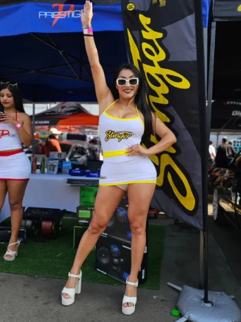 rrrrrrrrrrrr (1).webp