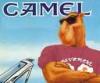 camel3x