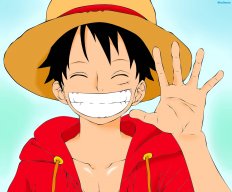 Monkey D. Luffy1