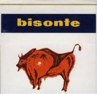 Bisonte1977