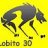 Lobito30