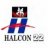 halcon22